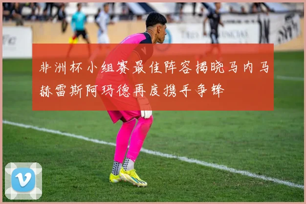 非洲杯小组赛最佳阵容揭晓马内马赫雷斯阿玛德再度携手争锋