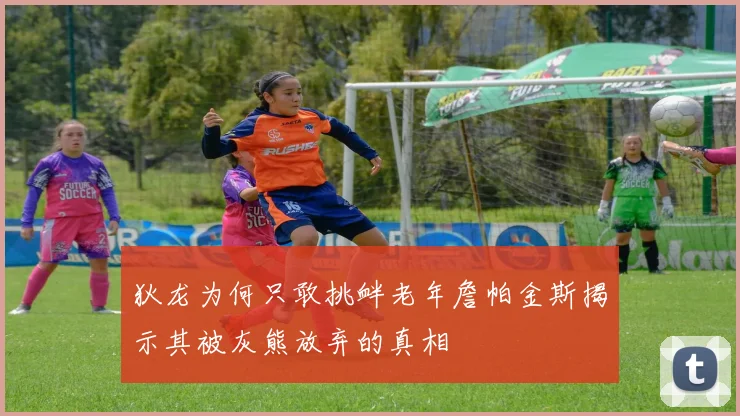 狄龙为何只敢挑衅老年詹帕金斯揭示其被灰熊放弃的真相