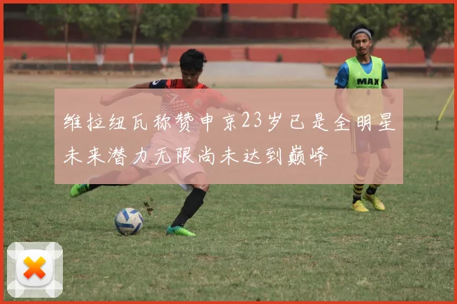 维拉纽瓦称赞申京23岁已是全明星未来潜力无限尚未达到巅峰