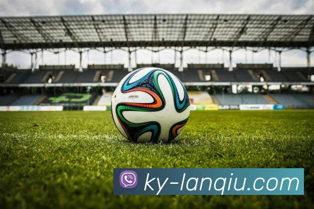 篮球赌注品牌故事